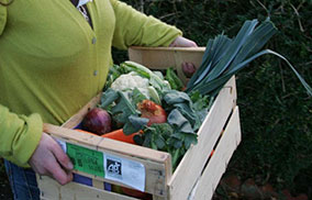 Meal Kits ireland